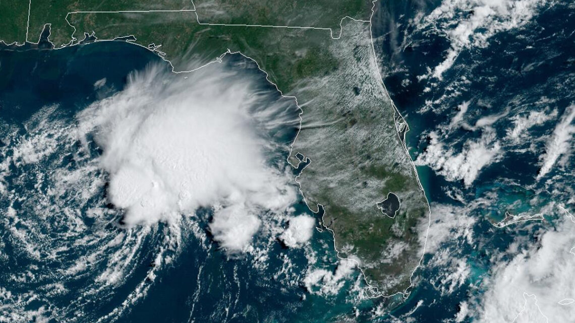 Weather in Sebastian, Florida - Forecast, Hurricane Updates - Sebastian ...