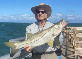 Kirby Kitchener with a snook at the Sebastian Inlet.