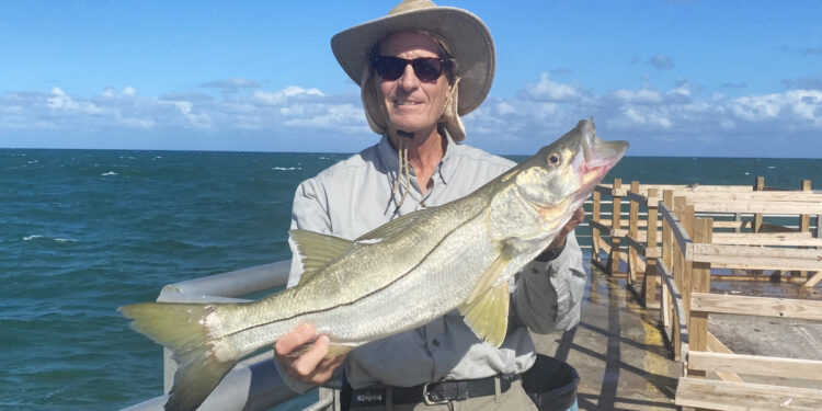 Kirby Kitchener with a snook at the Sebastian Inlet.