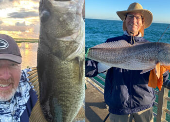 Sebastian Inlet Fishing