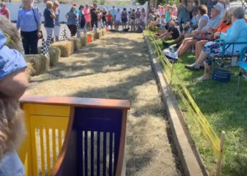 Wiener Dog Races