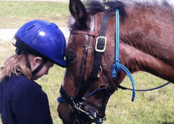 Special Equestrians of the Treasure Coast
