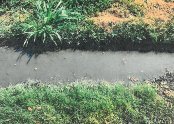 A small gutter in the parking lot near the septic system. Pictures taken by Florida Department of Health of sanitary nuisances at No Name Sports Bar in Sebastian, Florida.