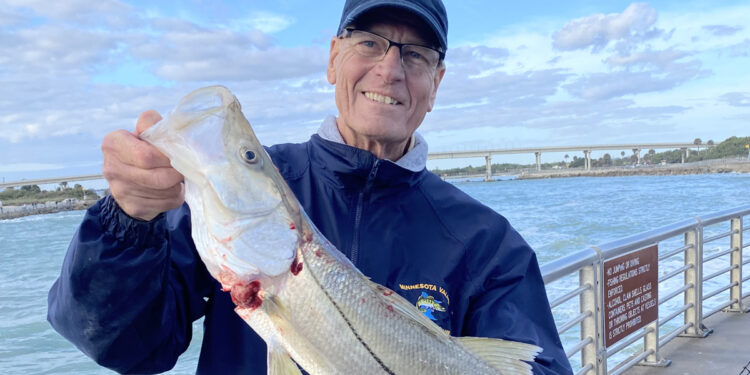 Kirby Kitchener caught this snook last week at the Sebastian Inlet.