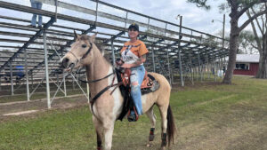 Bull Frog Bash Rodeo