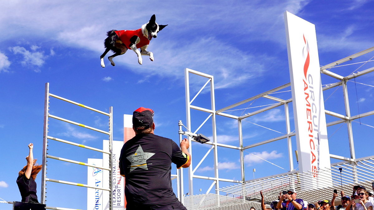 Sebastian Weekend Concerts, Italian Fest, SpayGhetti No Balls Charity