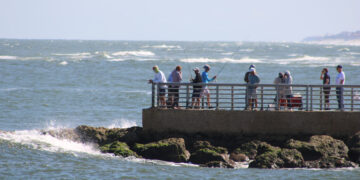 Anglers fishing on the South Jetty of the Sebastian Inlet.