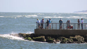 Anglers fishing on the South Jetty of the Sebastian Inlet.