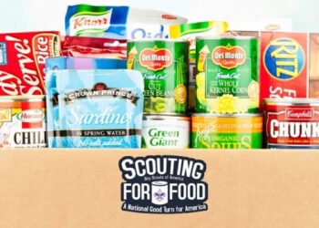Boy Scouts collecting food