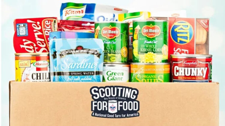Boy Scouts collecting food