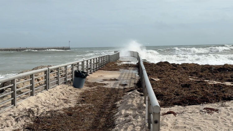 South Jetty at Sebastian Inlet