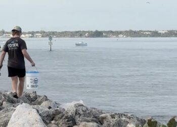 Sebastian Inlet Fishing Report