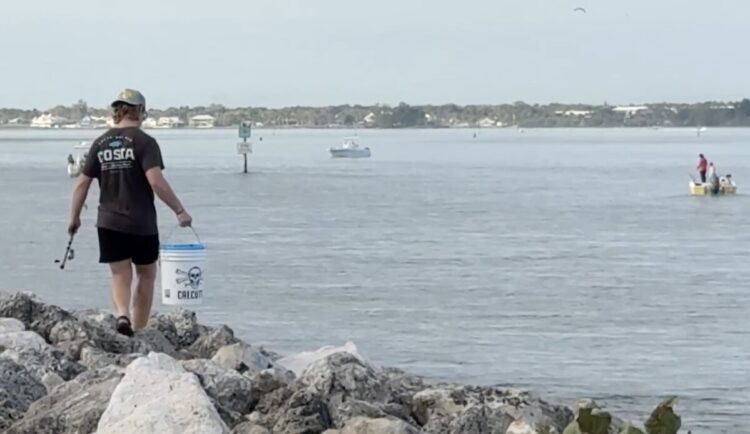 Sebastian Inlet Fishing Report