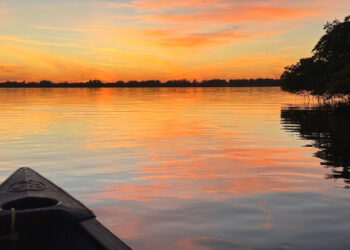 Share an unforgettable evening while supporting our environment.