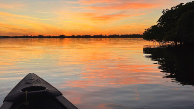 Share an unforgettable evening while supporting our environment.