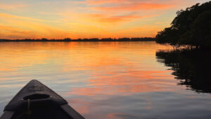 Share an unforgettable evening while supporting our environment.