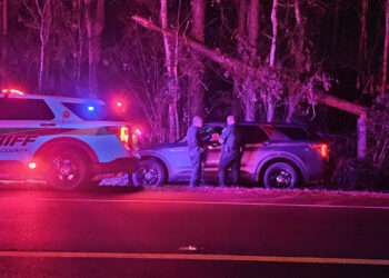 Small aircraft departed from Sebastian Municipal Airport crashed in Flagler County