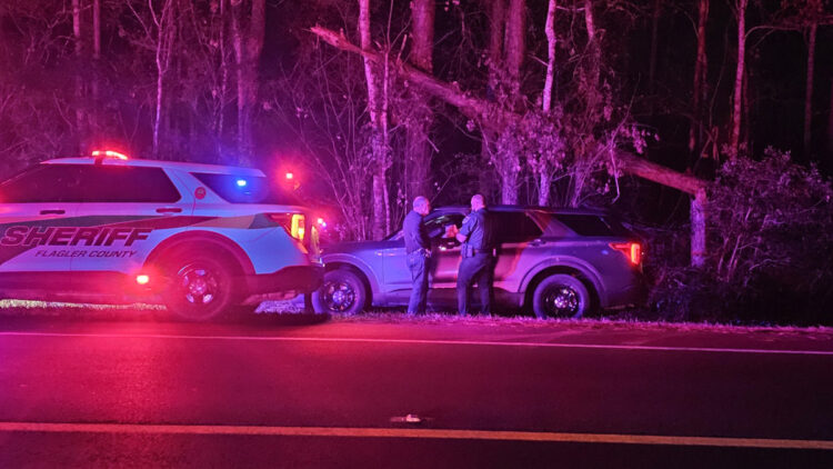 Small aircraft departed from Sebastian Municipal Airport crashed in Flagler County