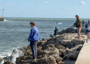 Sebastian Inlet Fishing Report