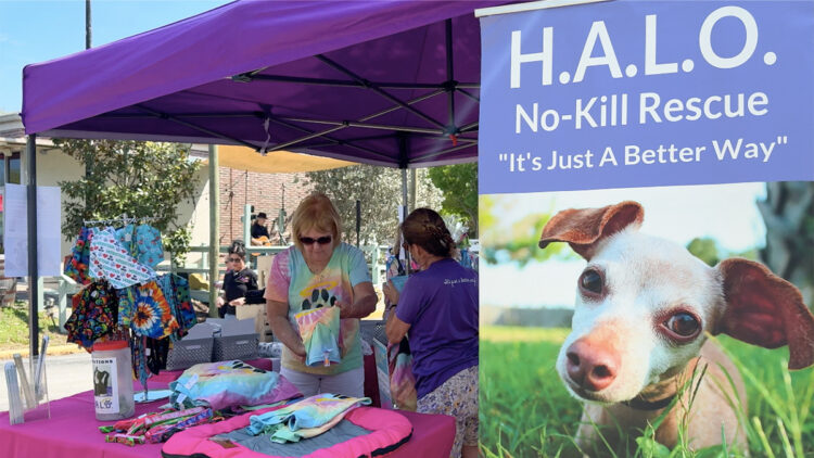 Woodstock raises $50k for HALO No Kill Rescue Shelter in Sebastian, Florida