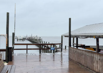 2025 Atlantic Hurricane Prediction (Sebastian Daily)