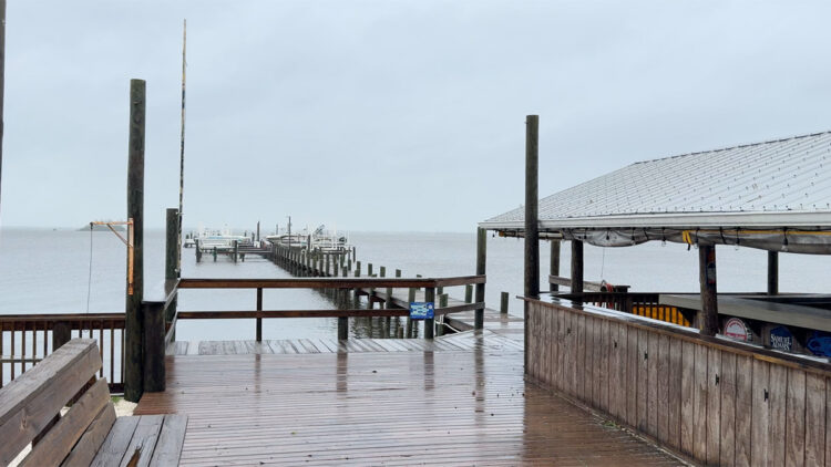 2025 Atlantic Hurricane Prediction (Sebastian Daily)