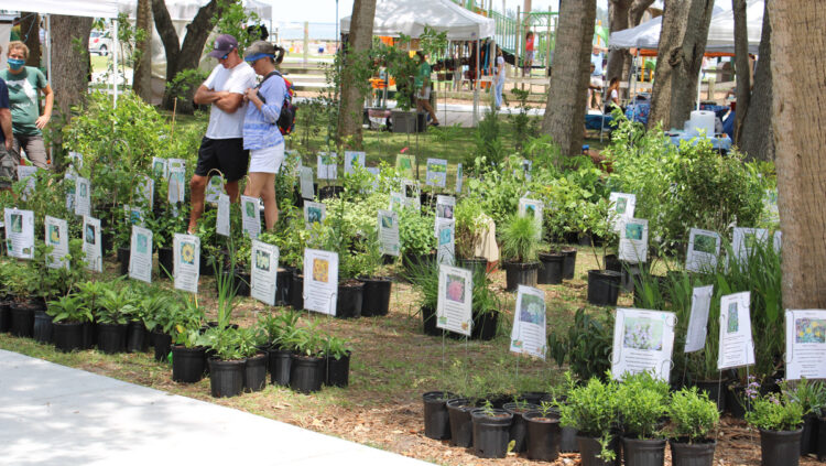 Earth Day & Arbor Day Celebration at Riverview Park in Sebastian, Florida