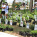 Earth Day & Arbor Day Celebration at Riverview Park in Sebastian, Florida