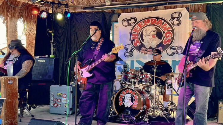 Sheepdawgs Band