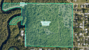 Cypress Bend Community Preserve, located 1.5 miles south of Dale Wimbrow Park on the west side of Roseland Road.