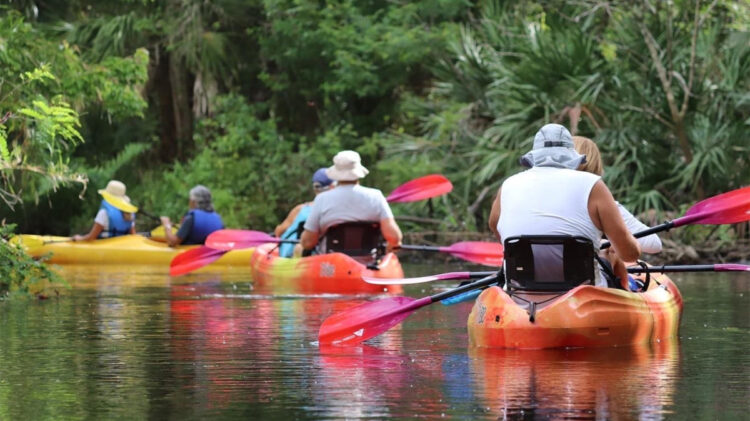 Kayak excursions at Environmental Learning Center