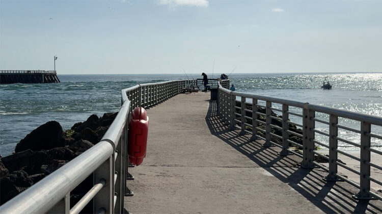 Sebastian Inlet Fishing Report