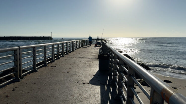 Sebastian Inlet Fishing