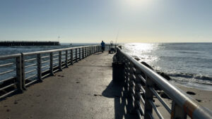 Sebastian Inlet Fishing