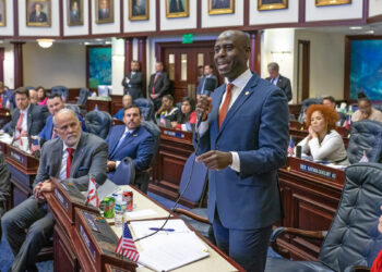 Rep. Berny Jacques, who sits on the committee, called property taxes the most hated tax in Florida. (Photo: Meredith Geddings)