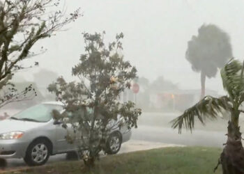 The share of lawsuits against Florida's state-backed property insurer from South Florida has dropped sharply in recent years due to reforms targeting frivolous claims.