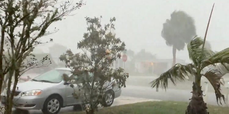 The share of lawsuits against Florida's state-backed property insurer from South Florida has dropped sharply in recent years due to reforms targeting frivolous claims.