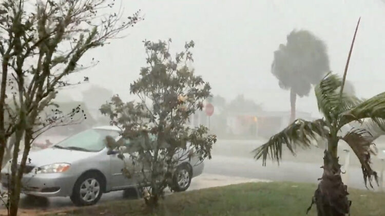 The share of lawsuits against Florida's state-backed property insurer from South Florida has dropped sharply in recent years due to reforms targeting frivolous claims.