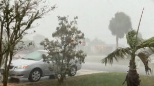 The share of lawsuits against Florida's state-backed property insurer from South Florida has dropped sharply in recent years due to reforms targeting frivolous claims.