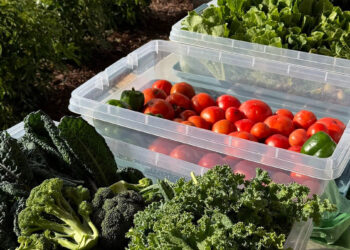 Spirit of Sebastian announces the launch of Afternoons in the Agrihood, a new event series featuring a Farmers Market that will bring fresh, local flavor to the community.