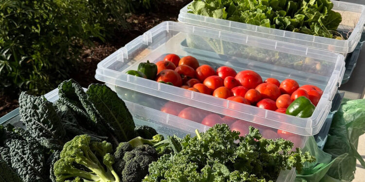 Spirit of Sebastian announces the launch of Afternoons in the Agrihood, a new event series featuring a Farmers Market that will bring fresh, local flavor to the community.