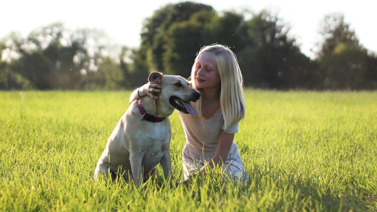 The death of a beloved pet often marks children's first encounter with mortality, offering parents a valuable chance to teach about death and healthy grieving, experts say.
