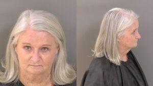 Irene Vatland Testa pleaded no contest and was adjudicated guilty by Circuit Judge Robert Meadows in Indian River County. (IRCSO)