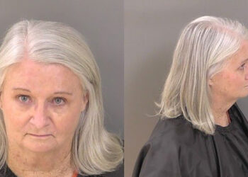 Irene Vatland Testa pleaded no contest and was adjudicated guilty by Circuit Judge Robert Meadows in Indian River County. (IRCSO)