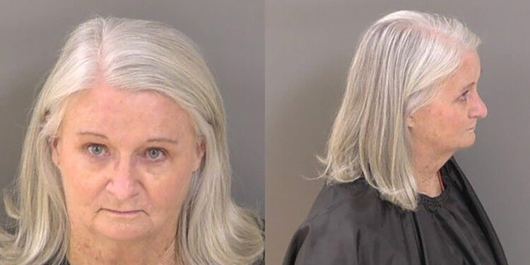 Irene Vatland Testa pleaded no contest and was adjudicated guilty by Circuit Judge Robert Meadows in Indian River County. (IRCSO)