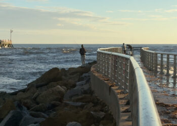 Anglers upset over sudden closure of Sebastian Inlet State Park's south jetty to nighttime access. (Sebastian Daily)