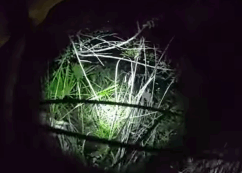 Donald Keaton was discovered Wednesday around 10:30 p.m. when a drone operated by the Indian River County Sheriff’s Office detected a faint heat signature beneath heavy tree cover.