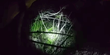 Donald Keaton was discovered Wednesday around 10:30 p.m. when a drone operated by the Indian River County Sheriff’s Office detected a faint heat signature beneath heavy tree cover.