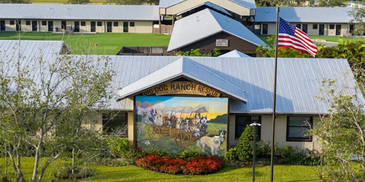 Big Dog Ranch Rescue in Loxahatchee.