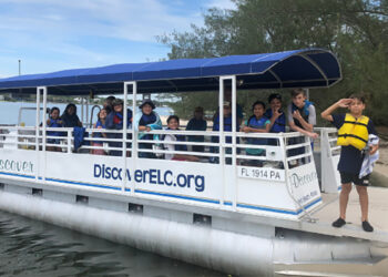 ELC launches free outdoor movie nights, kicking off with "Little Mermaid" double feature Nov. 21-22.